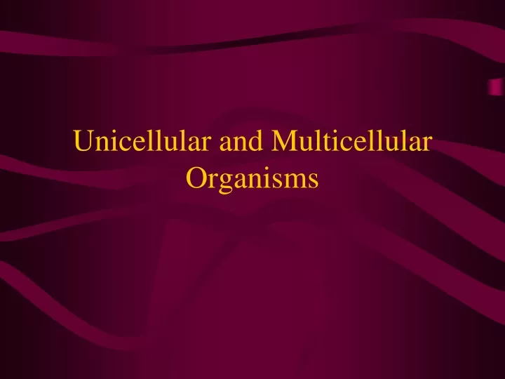 unicellular and multicellular organisms