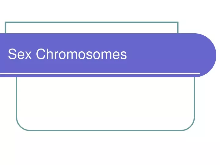 sex chromosomes