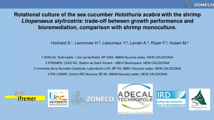 rotational culture of the sea cucumber holothuria