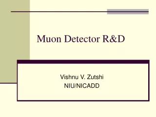 Muon Detector R&amp;D