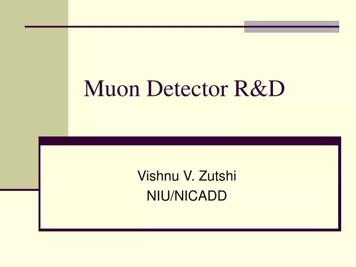 muon detector r d