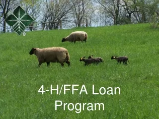 4-H/FFA Loan Program