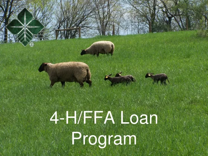 4 h ffa loan program