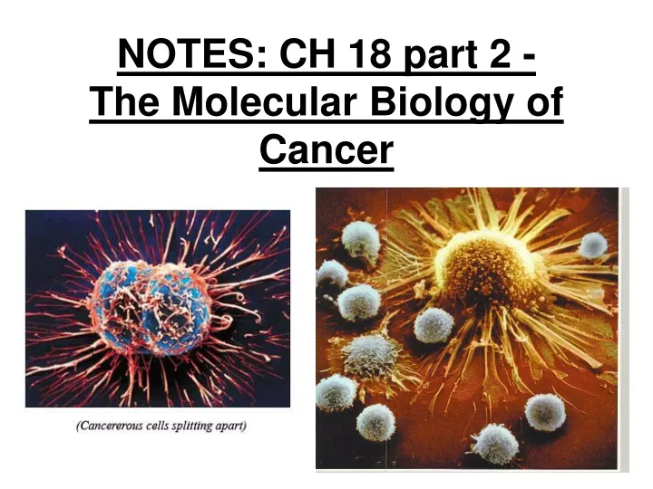 notes ch 18 part 2 the molecular biology of cancer
