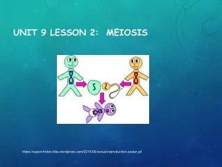 Unit 9 lesson 2:  Meiosis