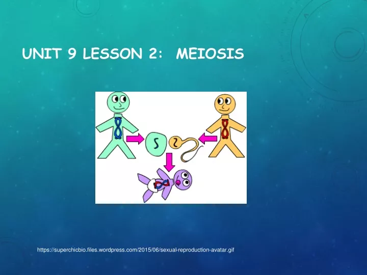 unit 9 lesson 2 meiosis