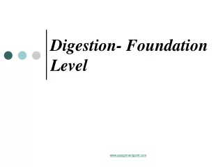 Digestion- Foundation Level