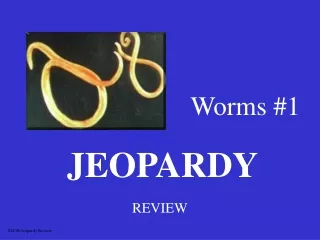 Worms #1
