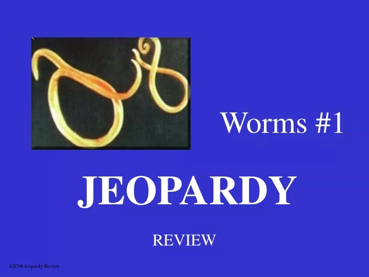 worms 1