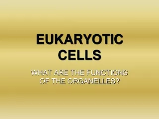 EUKARYOTIC CELLS
