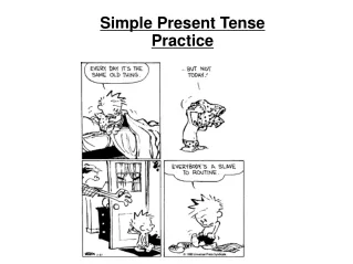 Simple Present Tense Practice