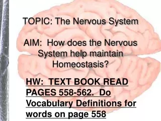 TOPIC: The Nervous System AIM:  How does the Nervous System help maintain Homeostasis?