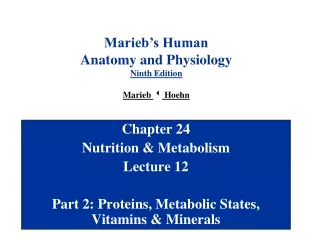 Chapter 24 Nutrition &amp; Metabolism Lecture 12