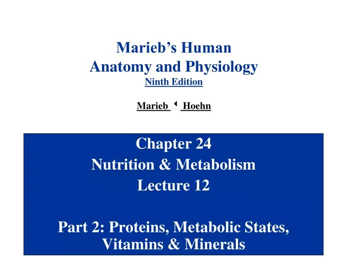 chapter 24 nutrition metabolism lecture 12 part 2 proteins metabolic states vitamins minerals