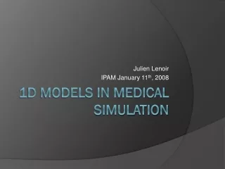 1D models in medical simulation