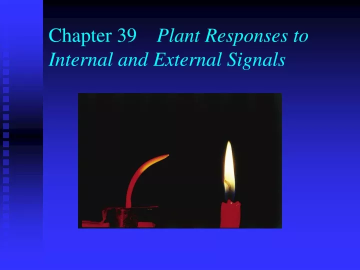 chapter 39 plant responses to internal and external signals
