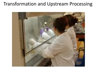 Transformation and Upstream Processing