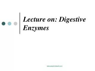 Lecture on: Digestive Enzymes