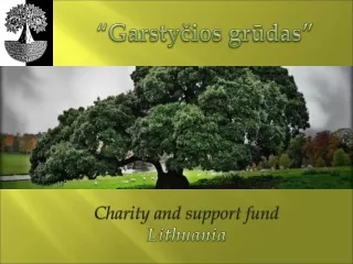 Charity and support fund Lithuania