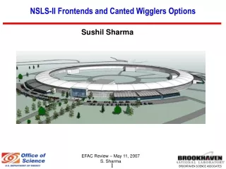 NSLS-II Frontends and Canted Wigglers Options