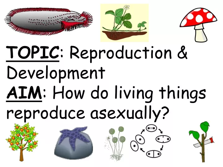 topic reproduction development aim how do living things reproduce asexually