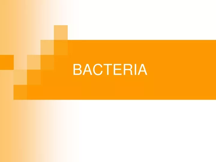 bacteria