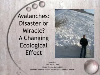 Avalanches:  Disaster or Miracle? A Changing Ecological Effect