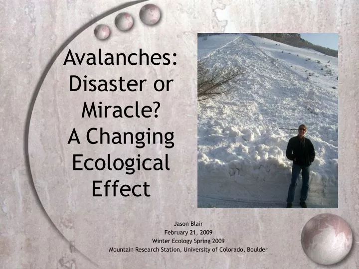 avalanches disaster or miracle a changing ecological effect
