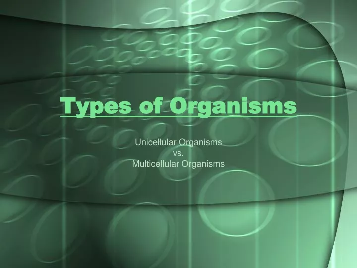 types of organisms