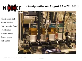 Gossip testbeam August 12 – 22 , 2010