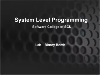 System Level Programming Software College of SCU