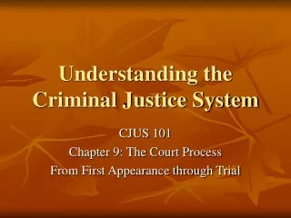 Understanding the Criminal Justice System