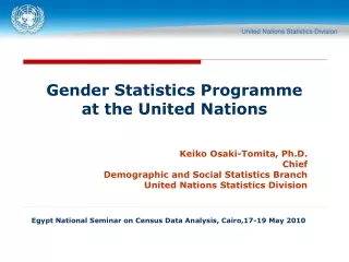 Gender Statistics Programme  at the United Nations