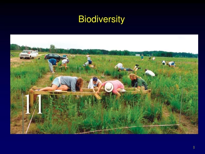 biodiversity