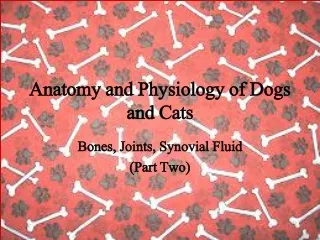 Anatomy and Physiology of Dogs and Cats