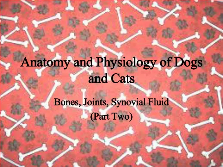 anatomy and physiology of dogs and cats