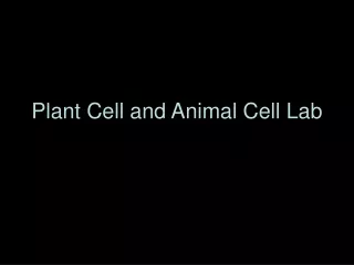 Plant Cell and Animal Cell Lab