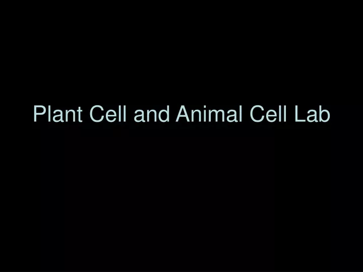plant cell and animal cell lab