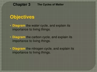 Diagram  the water cycle, and explain its importance to living things.