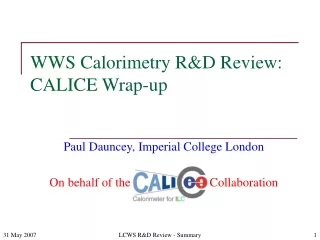 WWS Calorimetry R&amp;D Review: CALICE Wrap-up