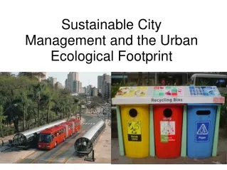 Sustainable City Management and the Urban Ecological Footprint