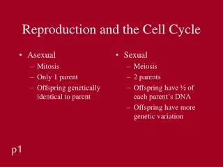 Reproduction and the Cell Cycle