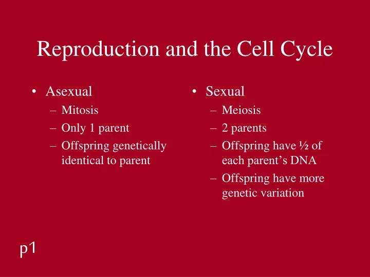 reproduction and the cell cycle
