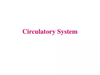 Circulatory System