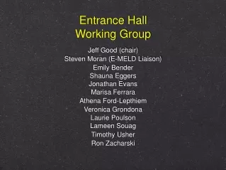 Entrance Hall Working Group
