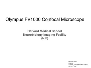 Harvard Medical School Neurobiology Imaging Facility (NIF)