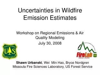 Uncertainties in Wildfire Emission Estimates