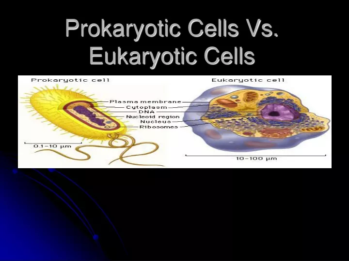 prokaryotic cells vs eukaryotic cells