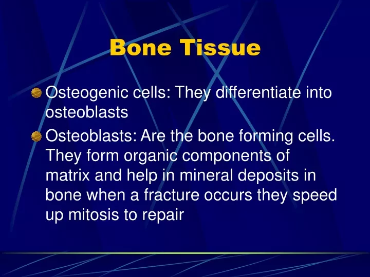 bone tissue