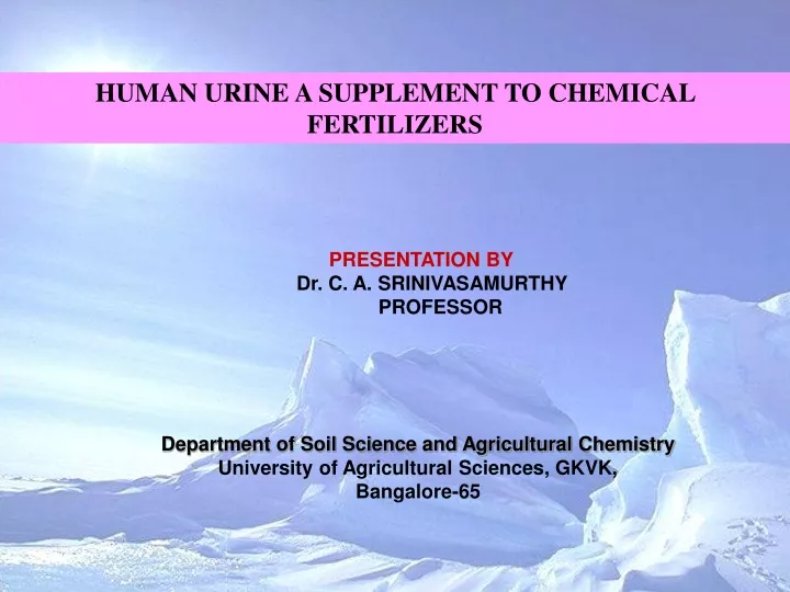 human urine a supplement to chemical fertilizers
